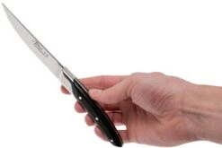 Claude Dozorme Le Thiers Coffret De Couteaux à Steak 6 Pièces, Ébène -Cuisine Couteaux Magasin CD5 90 001 70MI 08 claude dozorme cd5 90 001 70mi 08