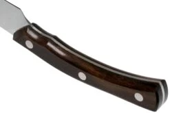 Due Cigni Arne Line Couteau à Steak 11 Cm, Ziricote -Cuisine Couteaux Magasin DG2C900ZW 04 due cigni arne