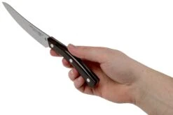 Due Cigni Arne Line Couteau à Steak 11 Cm, Ziricote -Cuisine Couteaux Magasin DG2C900ZW 06 due cigni arne