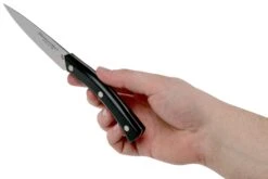 Due Cigni Arne Line Couteau D'office 10 Cm, Noir -Cuisine Couteaux Magasin DG2C901 06 due cigni arne