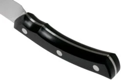 Due Cigni Arne Line Couteau Universel 15 Cm, Noir 11 Due Cigni Arne Line Couteau Universel 15 Cm, Noir -Cuisine Couteaux Magasin DG2C902 04 due cigni arne