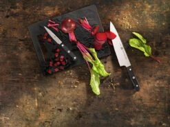 Zwilling Gourmet Couteau D'office 10 Cm, 36110-101 -Cuisine Couteaux Magasin Gourmet3