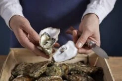 Couteau à Huîtres Opinel N°09 15 Couteau à Huîtres Opinel N°09 -Cuisine Couteaux Magasin OP001616 07 opinel oestermes op001616 08