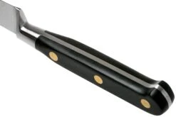 Lion Sabatier Idéal Couteau D'office 10 Cm, 711080 -Cuisine Couteaux Magasin SA1372 04 04 lion sabatier v202006