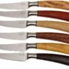 Saladini Ensemble 6 Pièces Couteaux à Steak 23 Cm, Ensemble Cadeau -Cuisine Couteaux Magasin SL4001VL6 01 saladini sl4001vl6 01