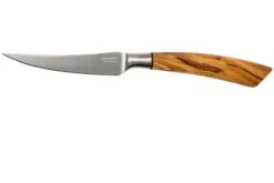 Saladini Ensemble 6 Pièces Couteaux à Steak 23 Cm, Ensemble Cadeau 12 Saladini Ensemble 6 Pièces Couteaux à Steak 23 Cm, Ensemble Cadeau -Cuisine Couteaux Magasin SL4001VL6 03 saladini sl4001vl6 03