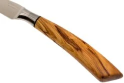 Saladini Ensemble 6 Pièces Couteaux à Steak 23 Cm, Ensemble Cadeau 15 Saladini Ensemble 6 Pièces Couteaux à Steak 23 Cm, Ensemble Cadeau -Cuisine Couteaux Magasin SL4001VL6 06 saladini sl4001vl6 06