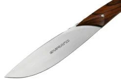 Viper Fiorentina VT7500-02CB Bois De Cocobolo, Set De 2 Couteaux à Steak -Cuisine Couteaux Magasin VPVT7500 02CB 03 viper