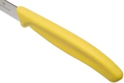 Victorinox SwissClassic Couteaux à Légumes Jaunes 10 Cm, Set De 2 Dont 1 Normal Et 1 Dentelé, VT6-7796-L8B 11 Victorinox SwissClassic Couteaux à Légumes Jaunes 10 Cm, Set De 2 Dont 1 Normal Et 1 Dentelé, VT6-7796-L8B -Cuisine Couteaux Magasin VT6 7796 L8B 04 victorinox swissclassic