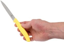 Victorinox SwissClassic Couteaux à Légumes Jaunes 10 Cm, Set De 2 Dont 1 Normal Et 1 Dentelé, VT6-7796-L8B 12 Victorinox SwissClassic Couteaux à Légumes Jaunes 10 Cm, Set De 2 Dont 1 Normal Et 1 Dentelé, VT6-7796-L8B -Cuisine Couteaux Magasin VT6 7796 L8B 05 victorinox swissclassic