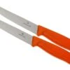 Victorinox SwissClassic Couteaux à Steak/pizza Orange Set De 2 6.7936.12L9B -Cuisine Couteaux Magasin VT6 7936 12L9B 01 victorinox steakmes oranje vt vt6 7936 12l9b 01