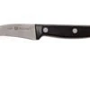 Zwiling Twin Chef Couteau Bec D'oiseau 7 Cm, 34910-061 2 Zwiling Twin Chef Couteau Bec D'oiseau 7 Cm, 34910-061 -Cuisine Couteaux Magasin ZW34910 061 01 zwilling twin chef zw34910 061 01