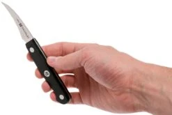 Zwilling Gourmet Couteau à éplucher Bec D'oiseau 6 Cm, 36110-061 -Cuisine Couteaux Magasin ZW36110 061 0 06 zwilling gourmet zw36110 061 0 06